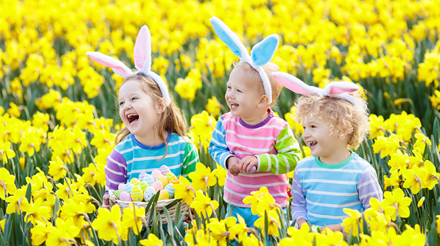 Children with bunny ears and egg basket in a field of daffodils